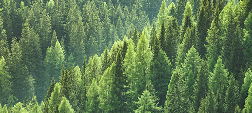 Trygg-Hansa Miljöarbete